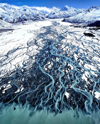 برندگان مسابقه عکاسی طبیعت ۲۰۲۴ 