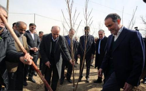  کاشت نهال به یاد امیرمحمد، دانشجوی فقید دانشگاه تهران+عکس