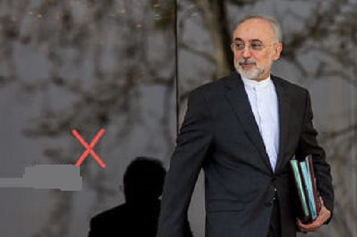  صالحی رئیس بنیاد ایرانشناسی شد