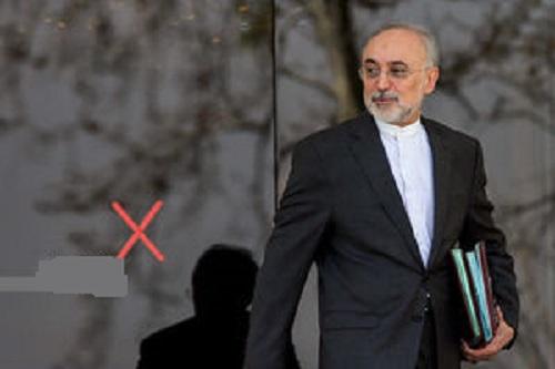  صالحی رئیس بنیاد ایرانشناسی شد