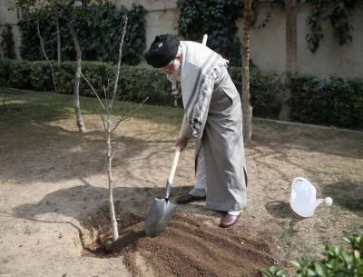  عکس/ کاشت نهال توسط رهبر انقلاب به مناسبت روزدرختکاری