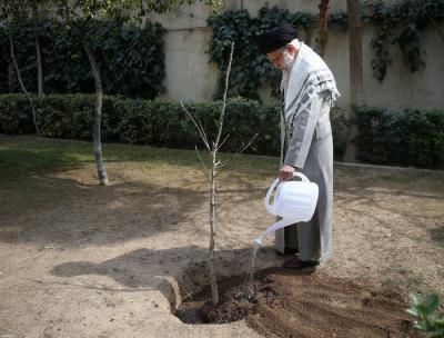  عکس/ کاشت نهال توسط رهبر انقلاب به مناسبت روزدرختکاری