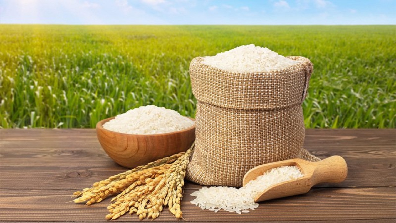 آخریت جزئیات قیمت برنج اعلام شد