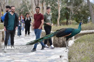  باغ پرندگان اصفهان میزبان مسافران 