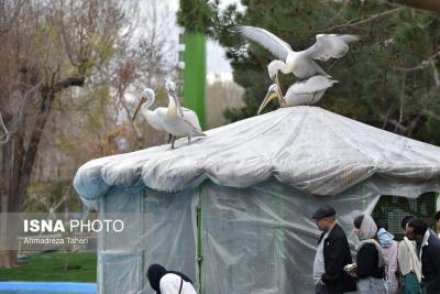  باغ پرندگان اصفهان میزبان مسافران 