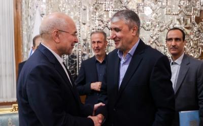 دیدار نوروزی جمعی از مسئولان نظام با قالیباف / عکس