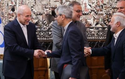 دیدار نوروزی جمعی از مسئولان نظام با قالیباف / عکس