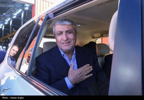 شناسایی 30 نوع سرطان بارادیوداروی ایرانی