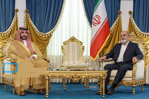 دیدار وزیر دفاع عربستان با دبیر شورای عالی امنیّت ملی