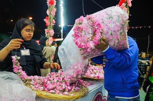  جشنواره گلاب و گلابگیری در پارک پرواز 