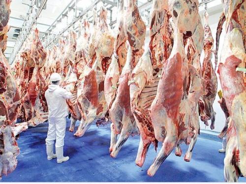 قیمت گوشت قرمز امروز ۹ اردیبهشت