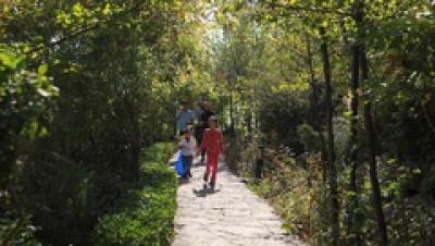 باغی برای پرندگان /عکس 