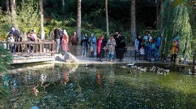 باغی برای پرندگان /عکس 