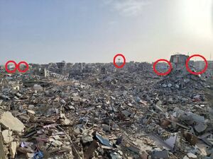 توئیت معمولی و روزمره‌ی یک صهیونیست
