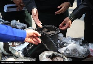 انهدام ۳۷ باند تهیه و توزیع مواد مخدر انهدام ۳۷ باند تهیه و توزیع مواد مخدر