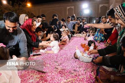  آیین ملی گل غلتان کاشان 