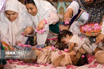  آیین ملی گل غلتان کاشان 