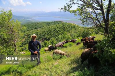 مریوان بهشت گردشگری باطبیعتی بکر