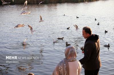 مریوان بهشت گردشگری باطبیعتی بکر