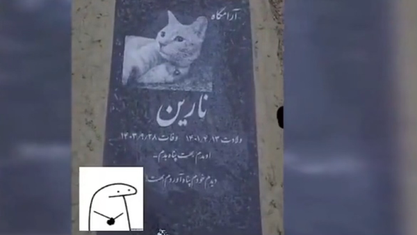 وقتی گربه‌ها لوکس‌تر از آدم‌ها دفن می‌شوند