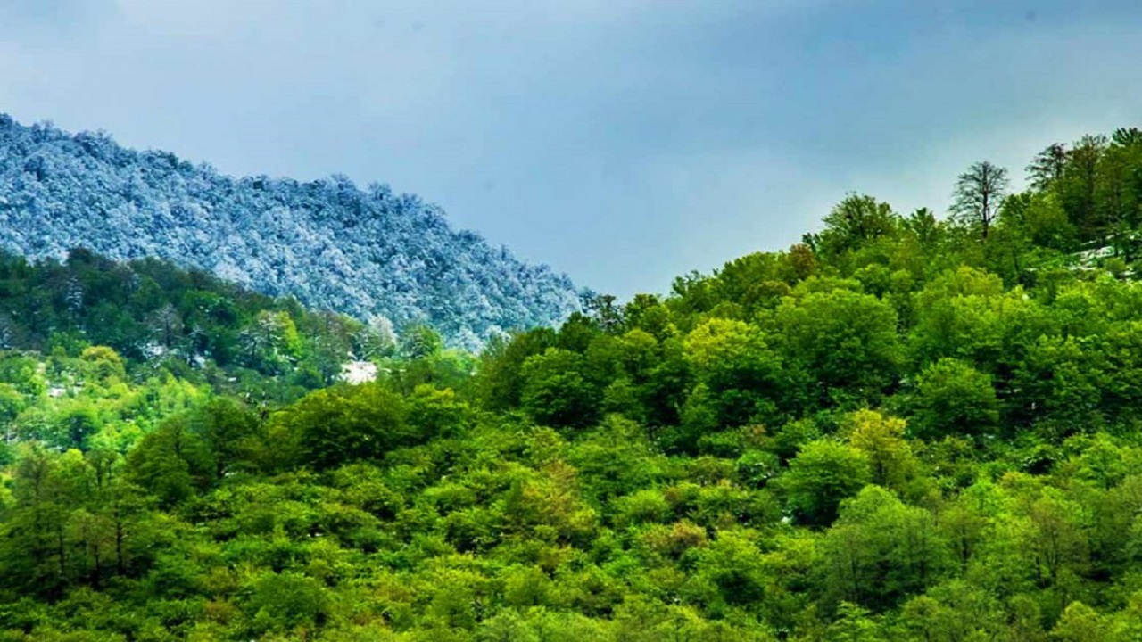 هیرکانی، میراثی ابدی در مسیر حفاظت پایدار