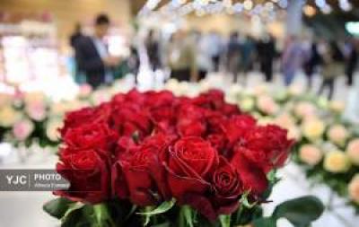 در دریای رنگ و بو غرق شوید و لذت ببرید 