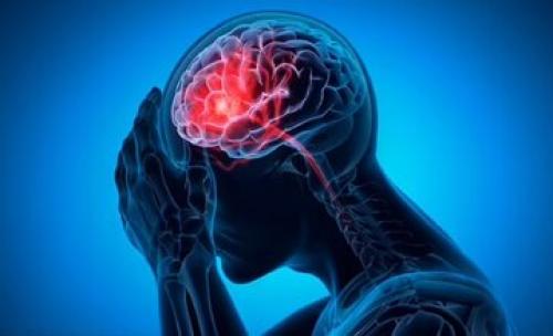 چگونه از پیر شدن مغز خود جلوگیری کنیم؟
