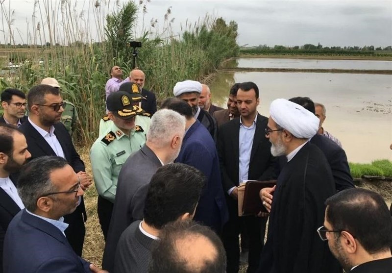با دلالان در بازار برنج برخورد می‌کنیم 