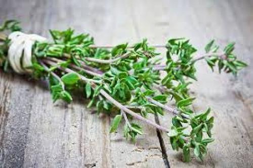 گیاه معجزه گر برای سرفه و آرام‌بخش 