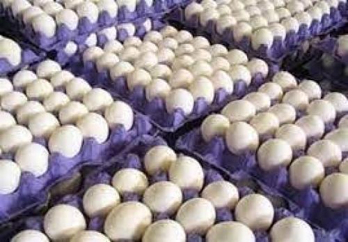 قیمت تخم مرغ درب مرغداری