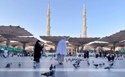  حال و هوای مسجدالنبی در ایام حج 