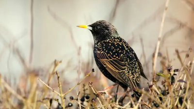 طبیعت در قاب دوربین؛