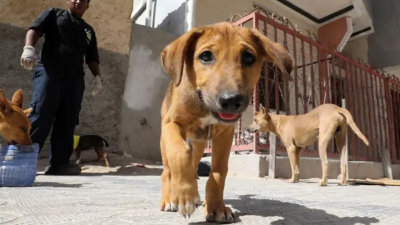 طبیعت در قاب دوربین؛