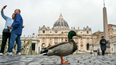 طبیعت در قاب دوربین؛