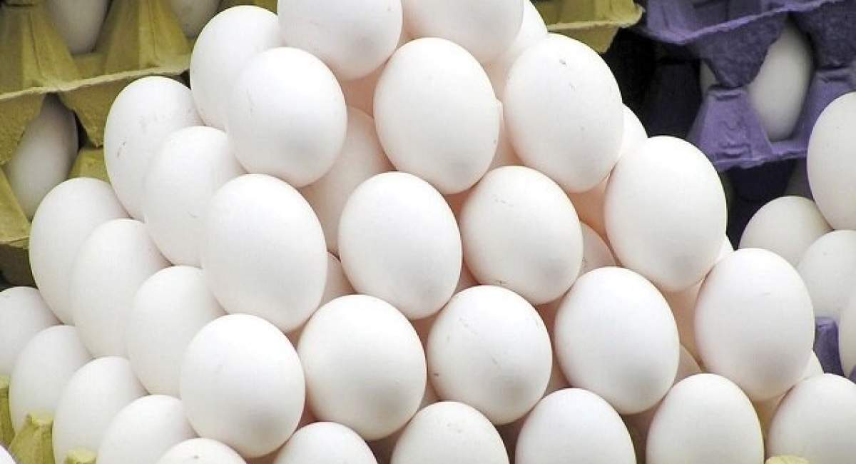 تخم‌مرغ خام یا نیم‌پز ضرر دارد؟