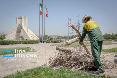  خاک تشنه، درختان بی‌جان 