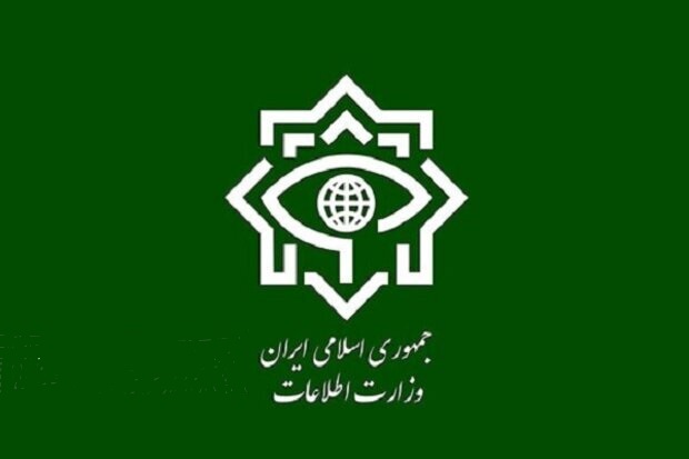 دستگیری مخلان نظم و امنیت