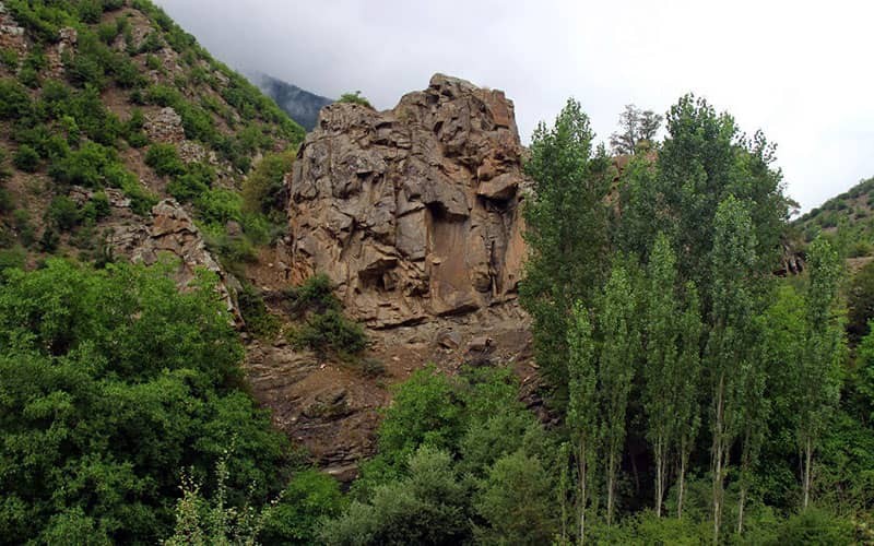 تصاویر دلچسب و زیبا از جنگل رودبارک