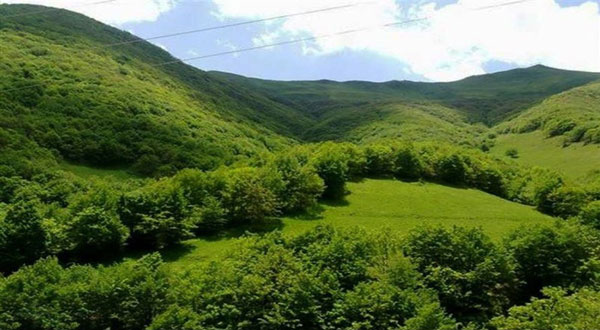 جنگل «فندقلو»؛ نگین سرسبز اردبیل /عکس