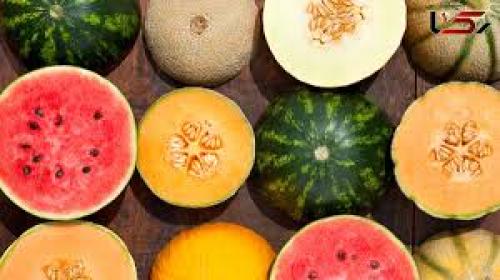 میوه‌های مناسب در گرما برای دیایتی‌ها
