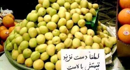 میوه چرا گران شد؟ 