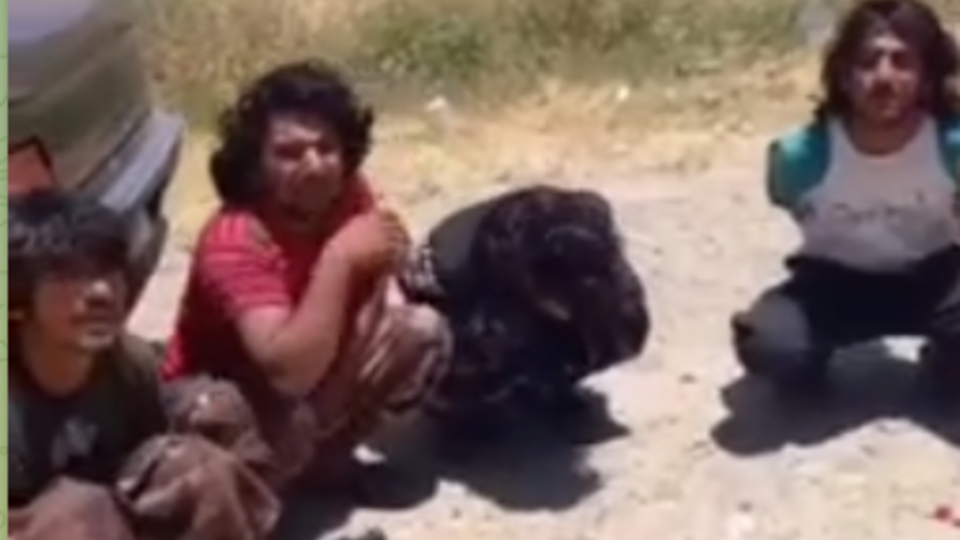 دستگیری اتباع افغان و کشف ریز پرندهها در لرستان دستگیری اتباع افغان و کشف ریز پرندهها در لرستان