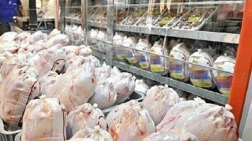 مازندران نبض بازار مرغ کشور را در دست گرفت 