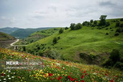 نگین سبزاردبیل / شهرستان گرمی