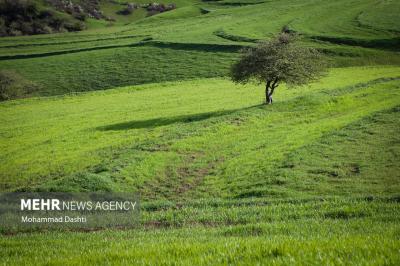 نگین سبزاردبیل / شهرستان گرمی