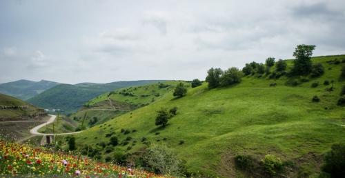 نگین سبزاردبیل / شهرستان گرمی