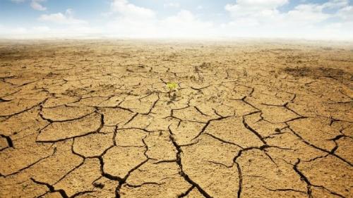 48درصد وسعت لرستان دچار خشکسالی شدید است 