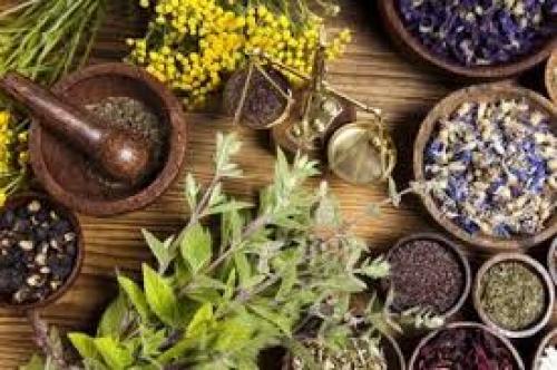  ۳ گیاه آرام‌بخشِ معده 