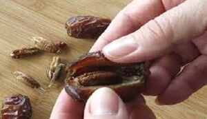 فواید هسته خرما 