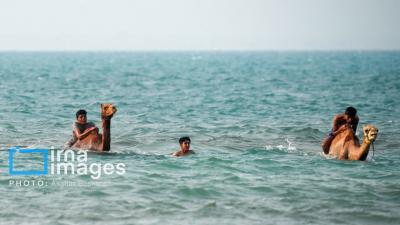 حمام شترها در خلیج فارس 